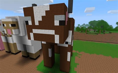 What do cows eat in Minecraft? - Rainbow Run Farm