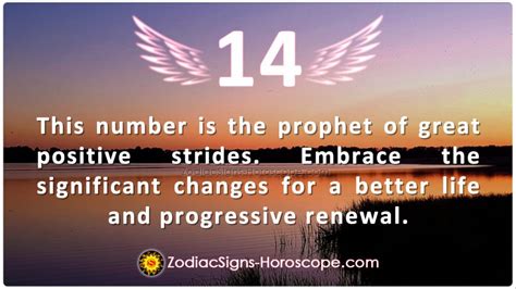 Angel Number 14 Means A State of Renewal and Progress | ZSH