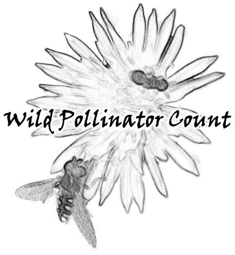 Identification Tips – Wild Pollinator Count