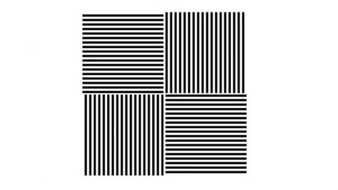 McCollough Effect: What is This Illusory Phenomenon? | 2024