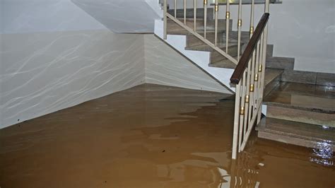 Ask an Expert - Safely Cleaning Your Home After a Flood