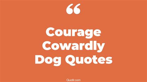 2+ Eye-Opening Courage Cowardly Dog Quotes That Will Inspire Your Inner ...