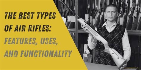 The Best Types of Air Rifles: Features, Uses, and FunctionalityThe Best ...