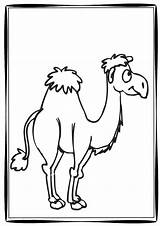 Hump Day Colouring Pages Sketch Coloring Page sketch template