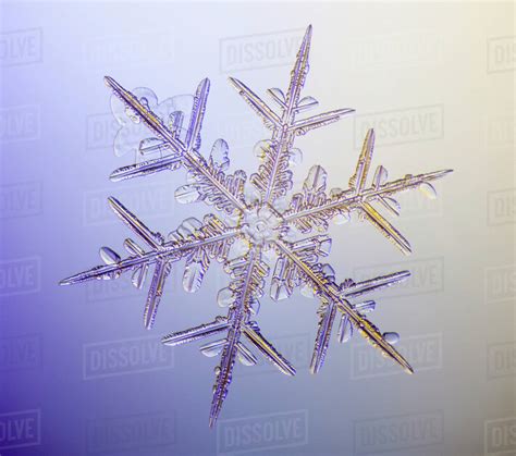 Photo-microscope view of a real snowflake showing the classic 6-sided star shape. - Stock Photo ...