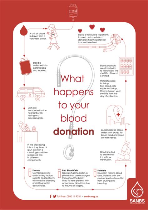 Donation process - SANBS