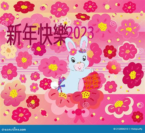 Chinese New Year Lights 2023 – Get New Year 2023 Update