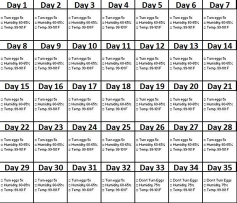 Duck Egg Incubation Chart