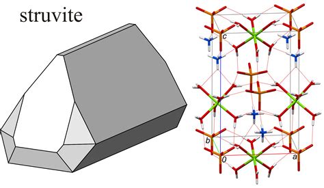 Crystals | Free Full-Text | Struvite Grown in Gel, Its Crystal ...