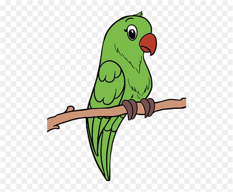 Drawing Feather Parrot - Parrot Images For Drawing, HD Png Download - vhv