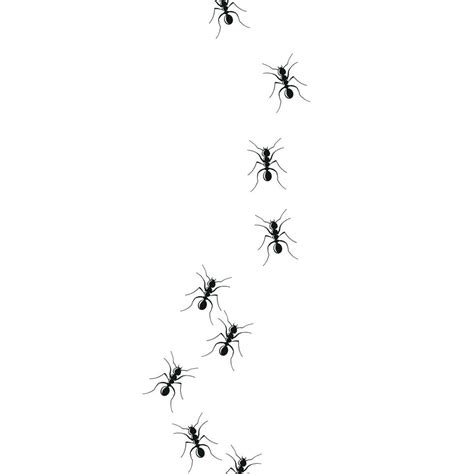 Ant trail colony on white background 7224837 Vector Art at Vecteezy