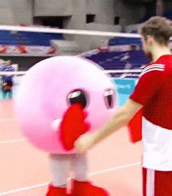 tumblr_nuyykb2MnX1sdxowho1_250.gif (245×280) Volleyball Team, Eye Candy, Aim, Sports, Cute ...