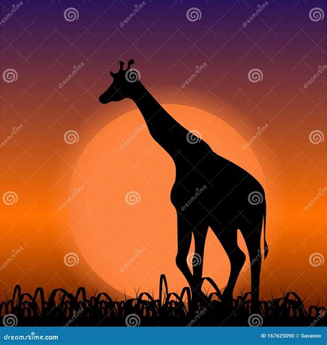 Giraffe on Sunset Background. Black Silhouette Stock Vector ...