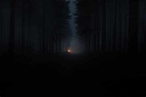 Dark forest, foggy, trees, fence, Nature, HD wallpaper | Peakpx