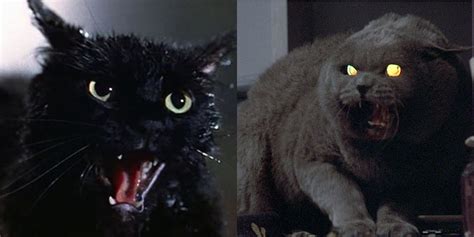 10 Creepiest Cats In Horror Movies