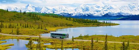 Denali National Park Bus Tours | Denali Backcountry Adventure Denali National Park Tours ...