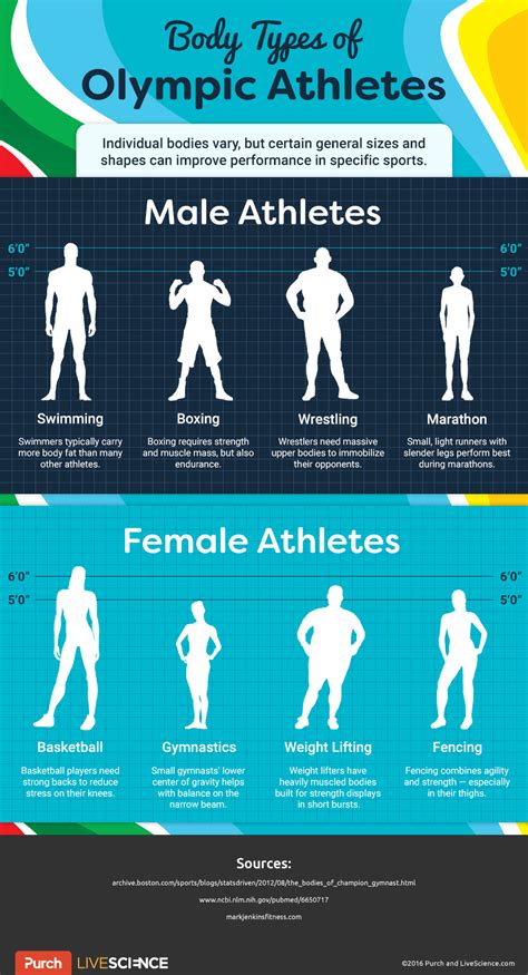 Olympic Form: How Sports Influence Body Shape | Live Science