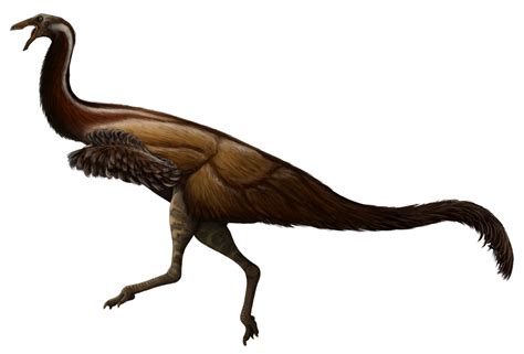 A Dinosaur A Day: Gallimimus bullatus