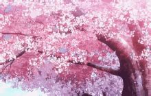 Cherry Blossom GIF - Cherry Blossom - Discover & Share GIFs