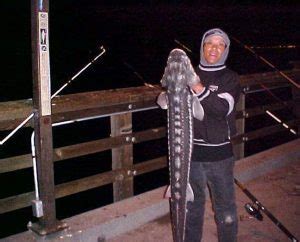 Oyster Point Fishing Pier — South San Francisco - Pier Fishing in California