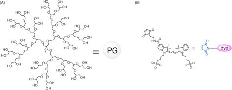 (A) Schematic representation of dPG. The depicted polymer structure... | Download Scientific Diagram