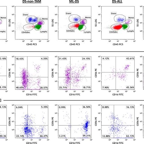 Myelomonocytic CD56 expression in DS and control PB. Flow cytometry ...