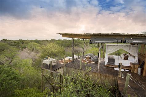 Best Treehouse Hotels in the World: Cool Treehouse Resorts You Can Book - Thrillist