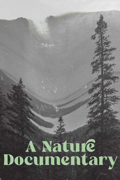 ‎A Nature Documentary (2021) directed by Joel Karppanen • Film + cast • Letterboxd