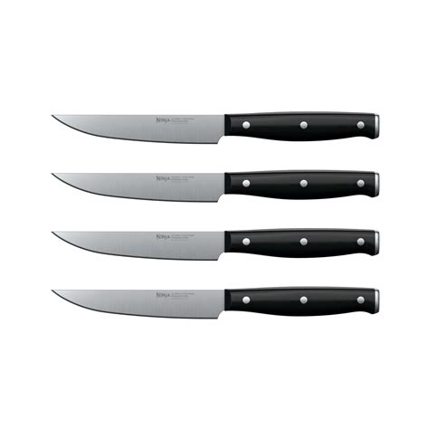 Buy Ninja Foodi Never Dull Essential 4-Piece Steak Knife Set, K12004 ...