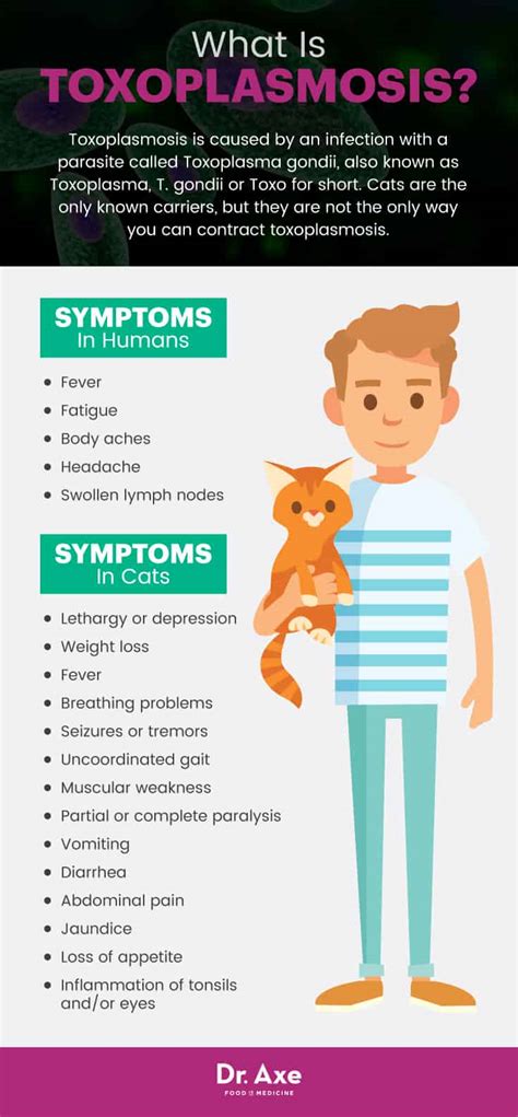 Toxoplasmosis Symptoms + 8 Natural Treatments - Dr. Axe