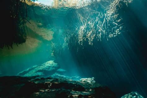 What You Can Expect to See When Snorkeling in Tulum Cenotes?