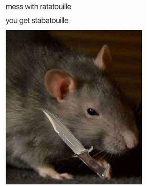 Mess with ratatouille, you get stabatouille | You Mess With Crabo, You ...