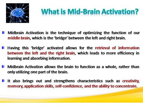 Mid Brain Activation in Delhi | Mid Brain Activation Session in Delhi ...