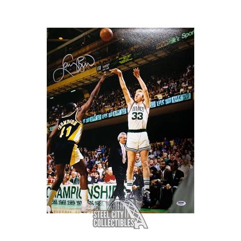 Larry Bird Autographed Boston Celtics 16x20 Photo - PSA/DNA COA | Steel City Collectibles