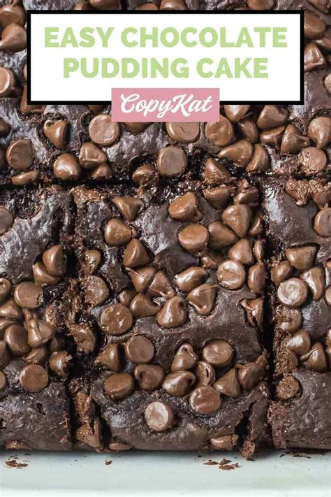 Easy Chocolate Pudding Cake with Pudding Mix - CopyKat Recipes