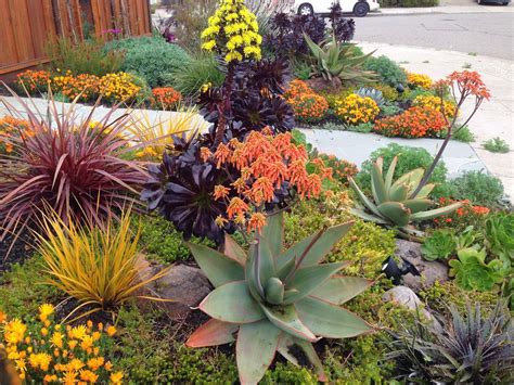 Drought Tolerant Landscapes | Drought tolerant garden, Succulent landscaping, Rock garden ...