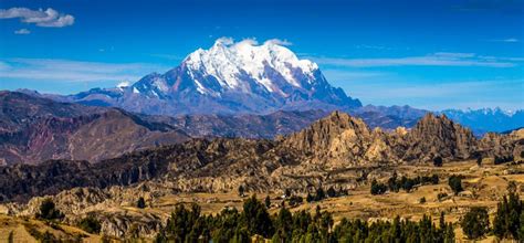 Sajama National Park: All You Need To Know - Bolivia Hop