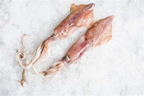 Fresh Loligo Squid Delivered | Manettas Seafood Market