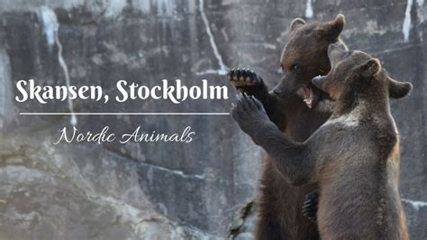 Skansen, Stockholm - The Nordic Animals - The Biveros Effect