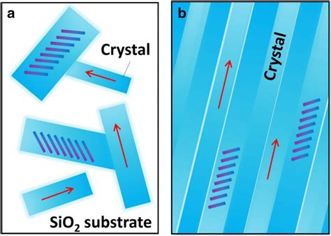 A schematic illustrating a TIPS pentacene crystals with random ...