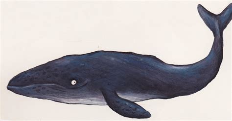 Axel Scheffler's official website | The Snail and the Whale