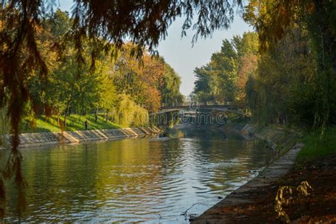 Autumn on river Bega stock image. Image of autumn, bega - 34904349