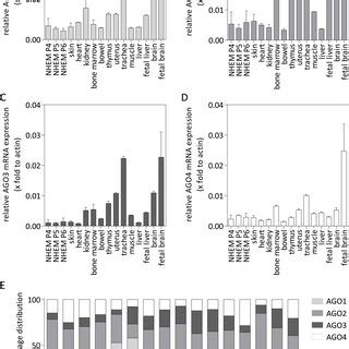 Argonaute gene expression in different human healthy tissues compared... | Download Scientific ...