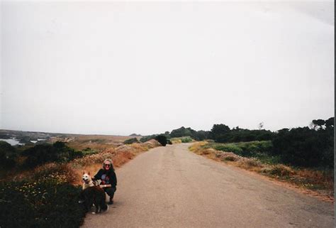 CA Fort Bragg Beaches | jcparks.net