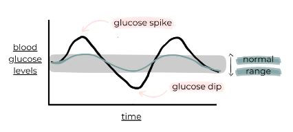 BLOOD SUGAR LEVELS EXPLAINED — Claudia Criswell | Nutrition and Pilates