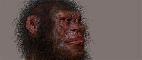 Homo Naledi - Rising Star Cave Discoveries and Controversy | UPSC Notes