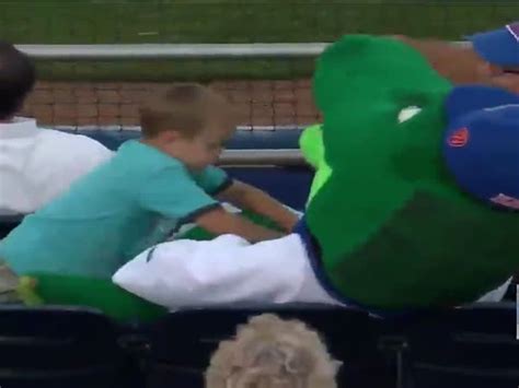 Florida Gators Mascot Takes A Foul Ball To The Head To Protect A Fan