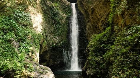 Tropical Waterfall - Stock Photos | Motion Array