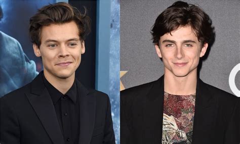 Harry Styles And Timothee Chalamet