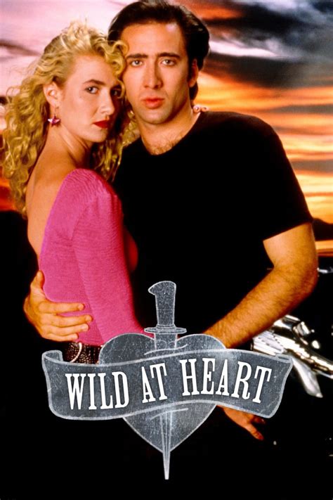 Wild at Heart - cinefile Filmportal